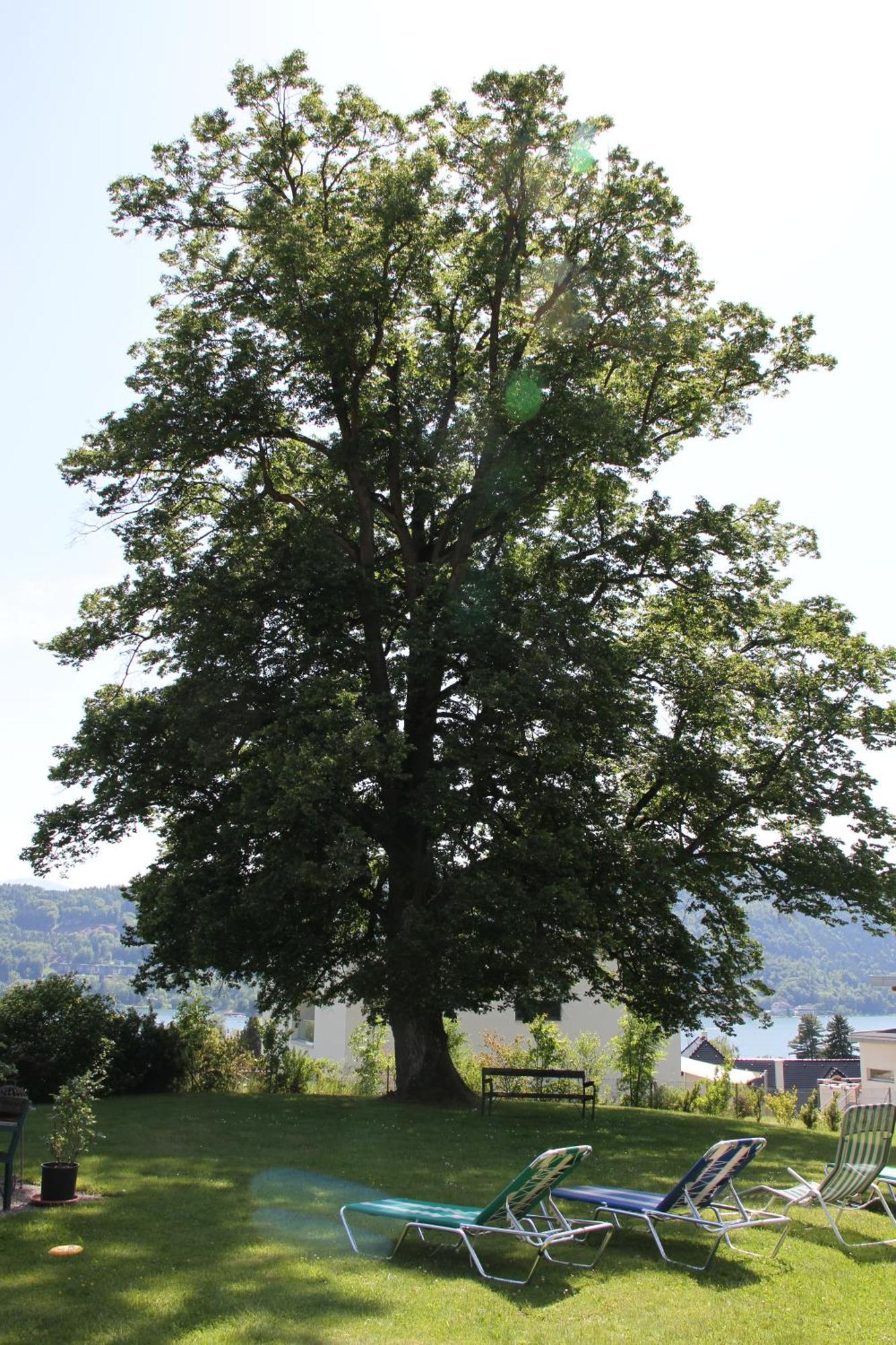 Landhaus Strussnighof Portschach am Woerthersee Exterior foto